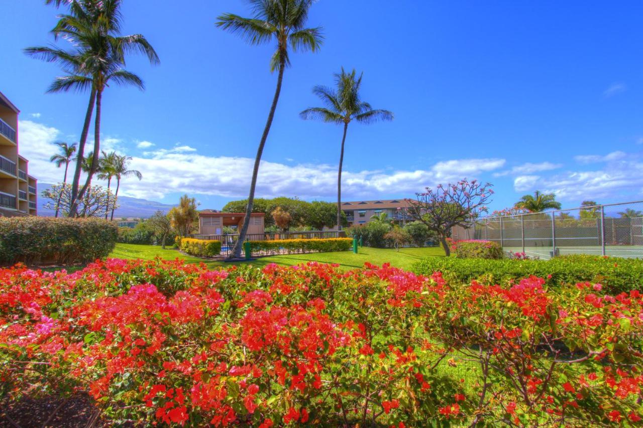 Maui Vista 2220 Kihei