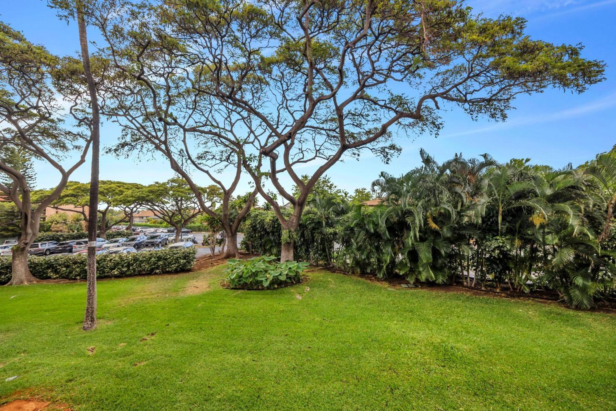 Maui Vista 2220 * Kihei